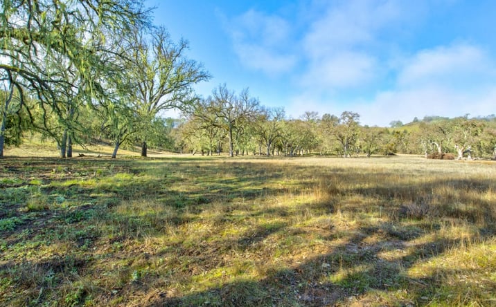 Pictures of Land property located at Lynch Canyon, Bradley, CA 93426 for sales - image #1