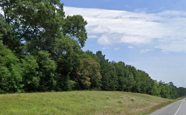 Pictures of Land property located at 00 Tbd N Us Hwy 59, Livingston, TX 77351 for sales - image #1