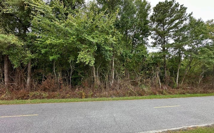 Pictures of Land property located at Lot 77 Crocker Hill Road, Elizabeth, NC 27909 for sales - image #1