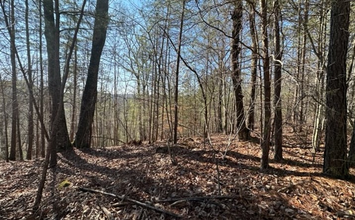 Pictures of Land property located at Ward Ridge Rd, Jasper, GA 30143 for sales - image #1