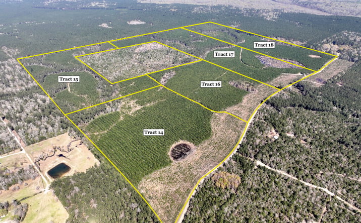 Pictures of Land property located at Co Rd 4415, Spurger, TX 77660 for sales - image #1