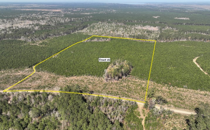 Pictures of Land property located at T-16 Co Rd 4415, Spurger, TX 77660 for sales - image #1