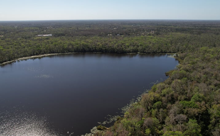 Pictures of Land property located at Doe Court, New Port Richey, FL 34654 for sales - image #1