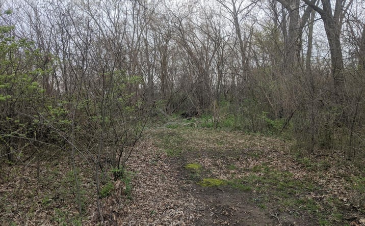 Pictures of Land property located at 1211-1227 Joliet St, Dyer, IN 46311 for sales - image #1