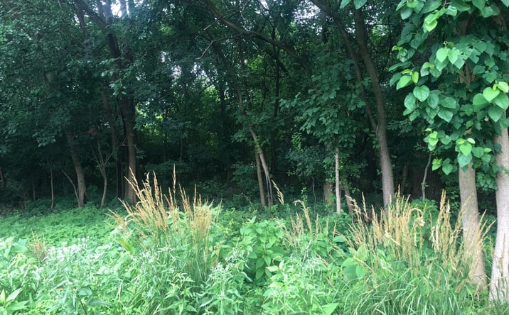 Pictures of Land property located at 1703 S Fairbanks St, Griffith, IN 46319 for sales - image #1