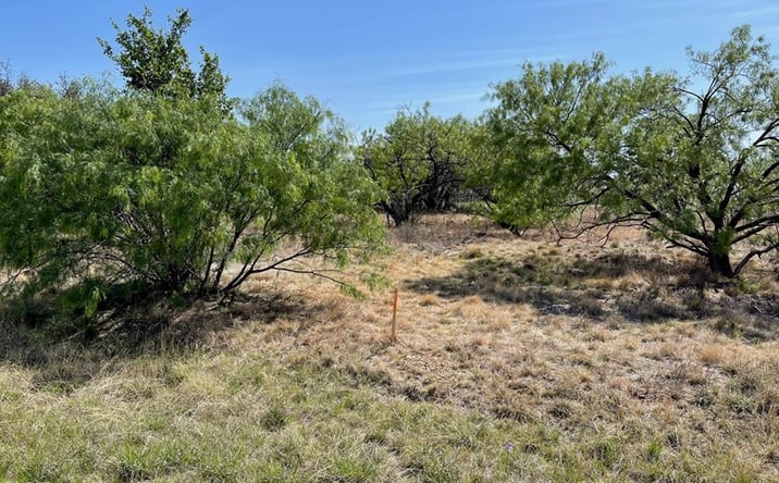 Pictures of Land property located at 527 Beacon Circle, Brownwood, TX 76801 for sales - image #1