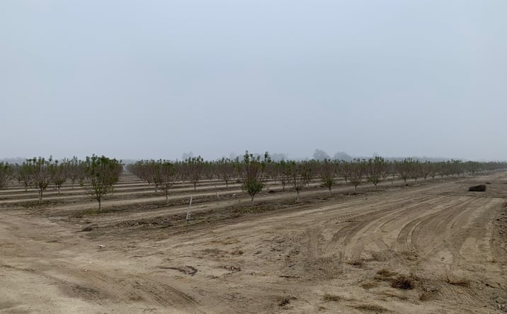 Pictures of Land property located at 14899 Ave 295, Visalia, CA 93291 for sales - image #1