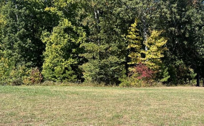 Pictures of Land property located at Kyle Road, Huntingdon, TN 38344 for sales - image #1