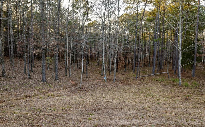 Pictures of Land property located at Lot 9 Stately Oaks Dr, Huntingdon, TN 38344 for sales - image #1