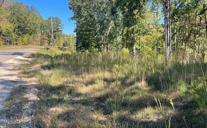 Pictures of Land property located at 0 Lakepoint Dr (Lot 26), Huntingdon, TN 38344 for sales - image #1