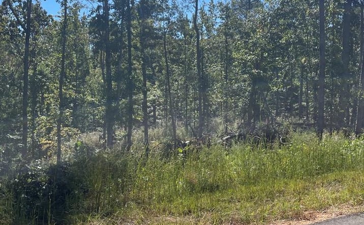 Pictures of Land property located at 0 Lakepoint Dr (Lot 27), Huntingdon, TN 38344 for sales - image #1