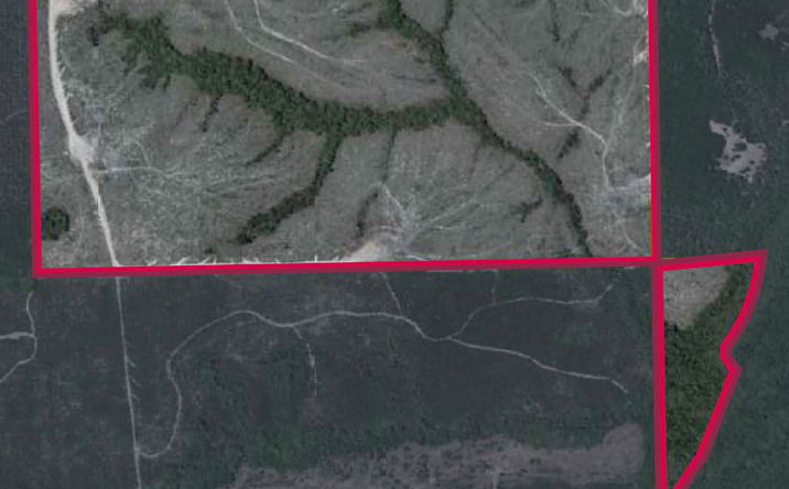 Pictures of Land property located at Taylor County, GA-Tract 32055, Butler, GA 31006 for sales - image #1