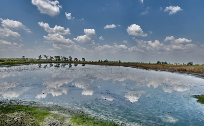 Pictures of Land property located at 1453 Moore Bar Rd, Rosenberg, TX 77471 for sales - image #1