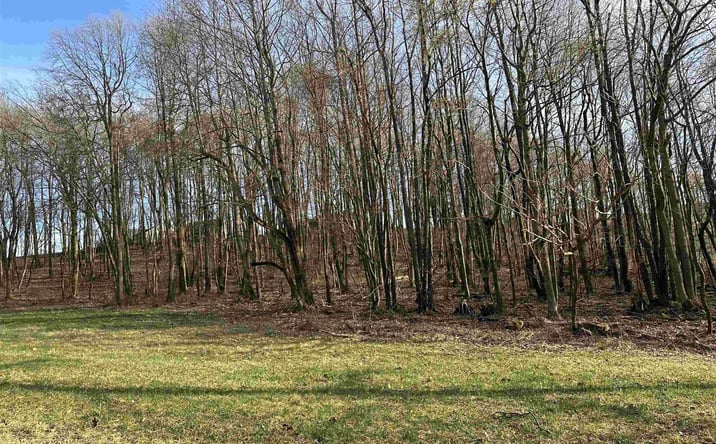 Pictures of Land property located at Mayfield Road Morgantown, Morgantown, WV 26508 for sales - image #1