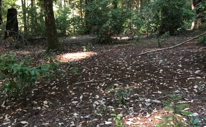 Pictures of Land property located at Back Rd, La Honda, CA 94020 for sales - image #1