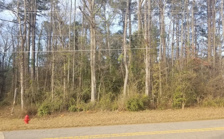 Pictures of Land property located at Veterans Dr, Thomaston, GA 30286 for sales - image #1