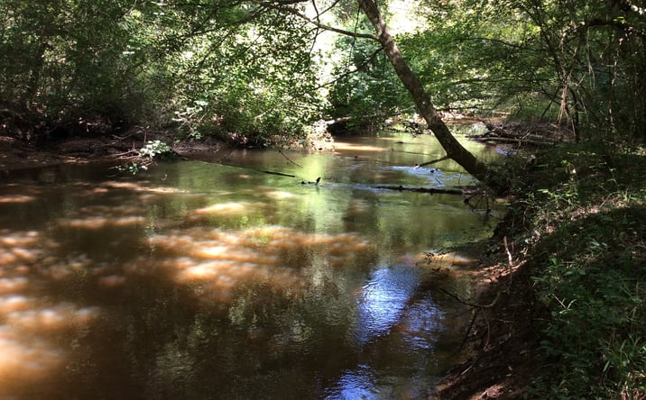 Pictures of Land property located at 4837 Quail Tower Rd, Luverne, AL 36049 for sales - image #1