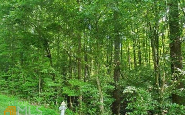Pictures of Land property located at Wall Rd, Statham, GA 30666 for sales - image #1