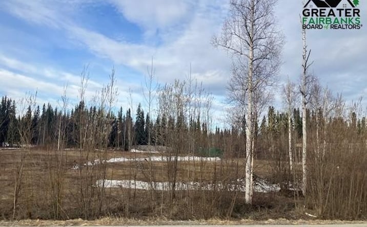 Pictures of Special Purpose property located at 71 SAINT NICHOLAS DRIVE lot: 1-B-2, North Pole, AK 99705 for sales - image #1