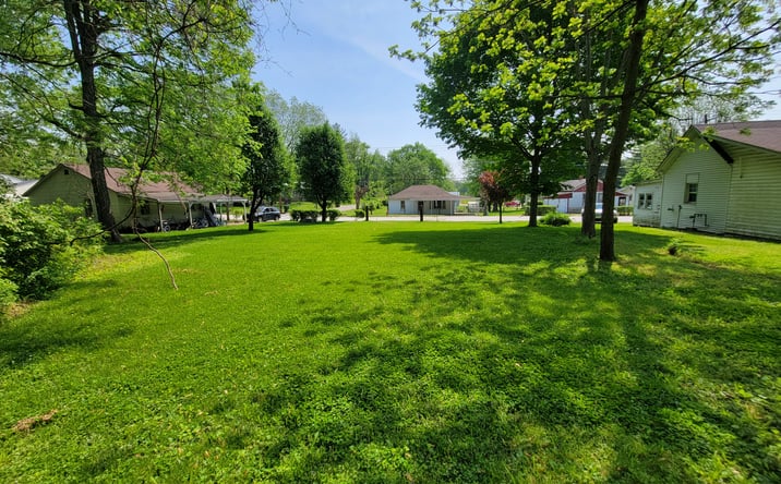 Pictures of Land property located at 409 S D St, Louisiana, MO 63353 for sales - image #1