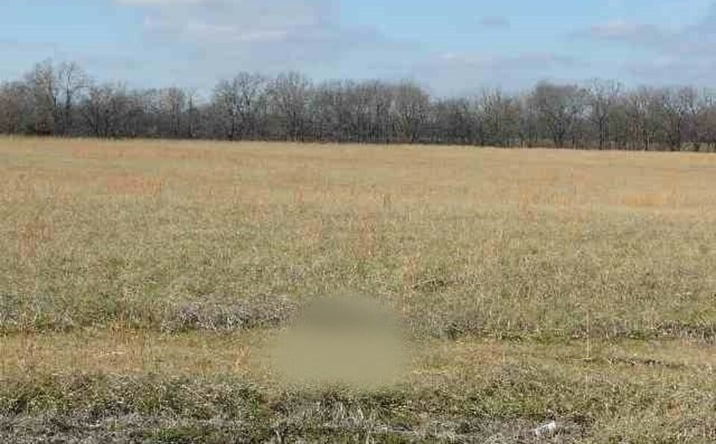 image of property at 400 BURD CIR Smithland KY 42058
