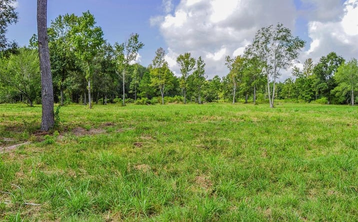Pictures of Land property located at Hwy 321, Cleveland, TX 77327 for sales - image #1