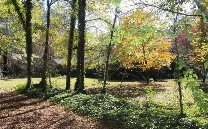 Pictures of Land property located at 181 Waldrip Dr, Cullman, AL 35057 for sales - image #1