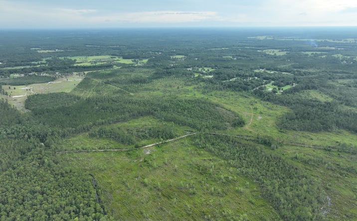 Pictures of Land property located at Noah Raulerson Rd, Sanderson, FL 32087 for sales - image #1