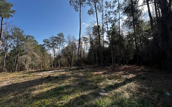 Pictures of Land, Multifamily, Special Purpose property located at Lakeside Dr, Carriere, MS 39426 for sales - image #1