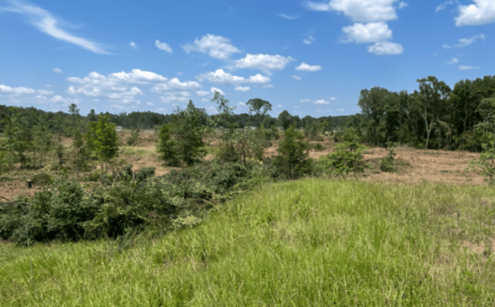 Pictures of Land property located at 000 Hwy 167 Dallas County Fordyce, AR 71742, Fordyce, AR 71742 for sales - image #1