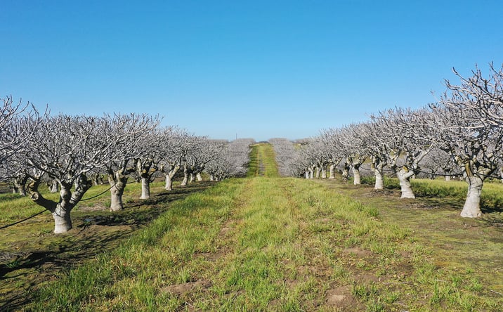Pictures of Land property located at N. of intersection of Ave. 27 ½ and Rd. 26, Chowchilla, CA 93610 for sales - image #1