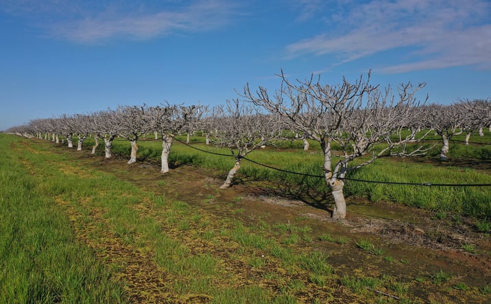 Pictures of Land property located at NE of  intersection of Ave. 27 ½ & Rd. 24, Chowchilla, CA 93610 for sales - image #1