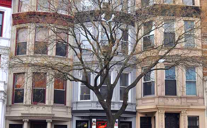 Pictures of Mixed Use, Multifamily property located at 474 W 145th St, New York, NY 10031 for sales - image #1