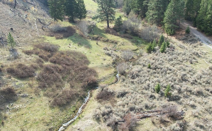 Pictures of Land property located at 1 Tract, Drummond, MT 59832 for sales - image #1