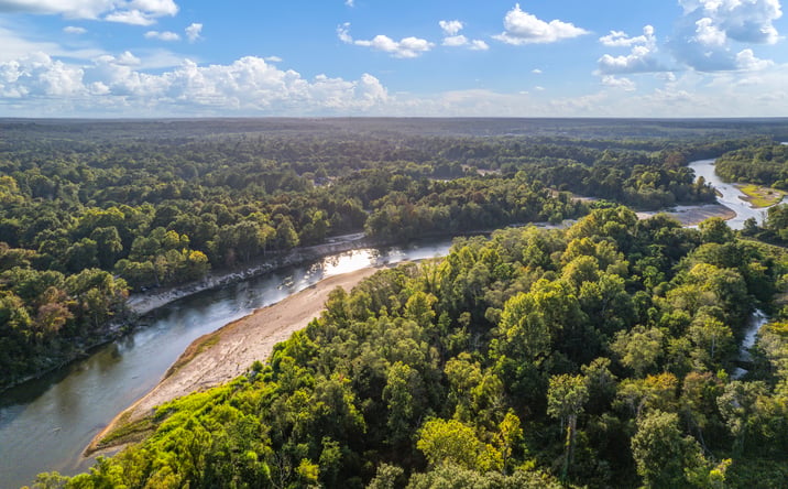 Pictures of Land property located at 17309 LA-16, Franklinton, LA 70438 for sales - image #1