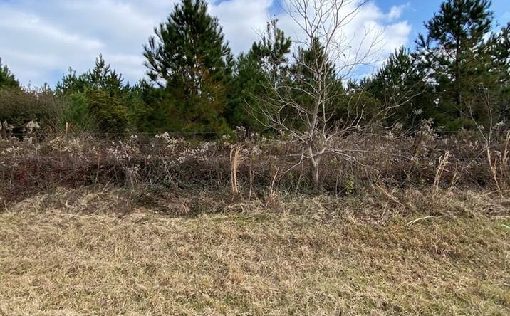 Pictures of Land property located at 0 Buck Kirkland Rd, Poplarville, MS 39470 for sales - image #1