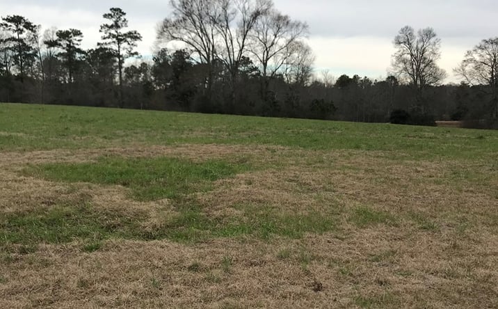 Pictures of Land property located at 0 Whispering Lane Lot 55, Poplarville, MS 39470 for sales - image #1