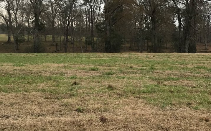 Pictures of Land property located at 0 Whispering Lane Lot 53, Poplarville, MS 39470 for sales - image #1