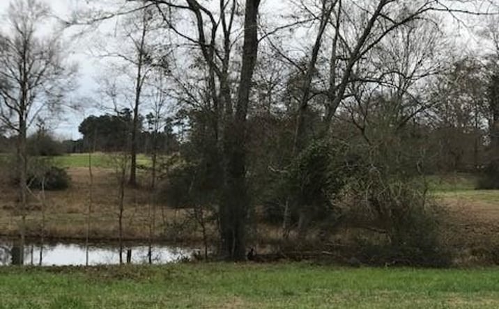 Pictures of Land property located at 0 Whispering Lane Lot 50, Poplarville, MS 39470 for sales - image #1