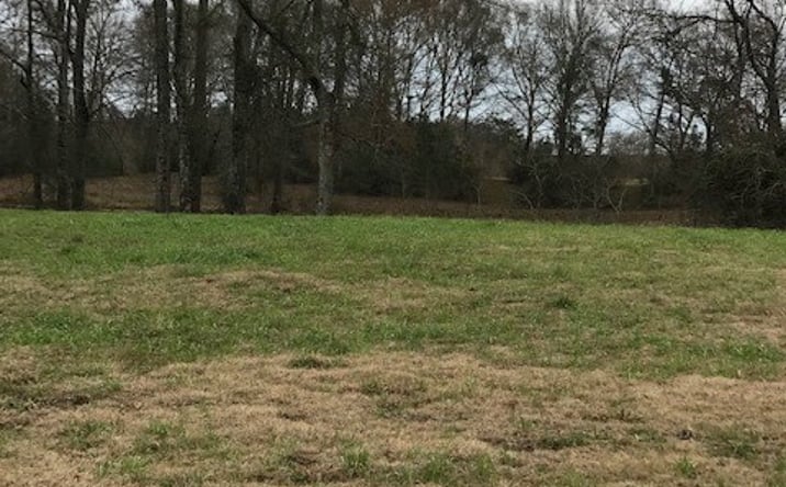 Pictures of Land property located at 0 Whispering Lane Lot 45, Poplarville, MS 39470 for sales - image #1