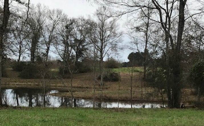 Pictures of Land property located at 0 N Main St Lot 64, Poplarville, MS 39470 for sales - image #1