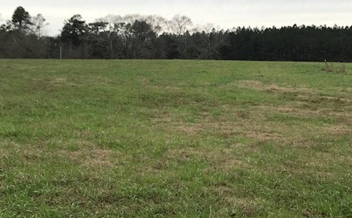 Pictures of Land property located at 0 Rolling Ridge Lot 71, Poplarville, MS 39470 for sales - image #1