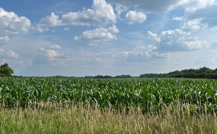 Pictures of Land property located at St Croix Rd SE, Pine City, MN 55063 for sales - image #1