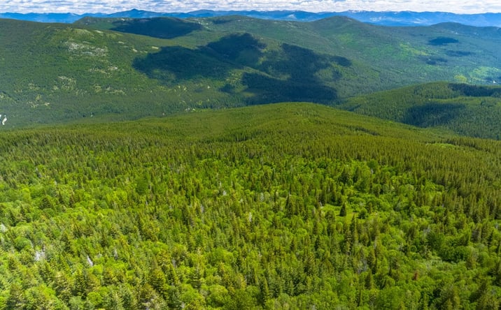 Pictures of Land property located at Jeru Creek Rd 293, Sandpoint, ID 83864 for sales - image #1