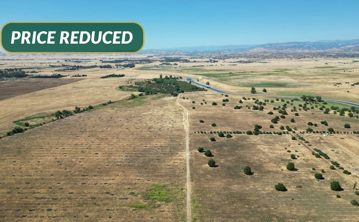 Pictures of Land property located at 5496 S Newmark Ave, Sanger, CA 93657 for sales - image #1
