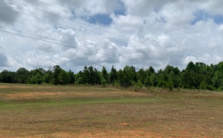 Pictures of Land property located at 19600 Block US-43, Grove Hill, AL 36451 for sales - image #1