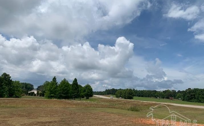 Pictures of Land property located at 15000 Block S Old Highway 5, Thomasville, AL 36451 for sales - image #1