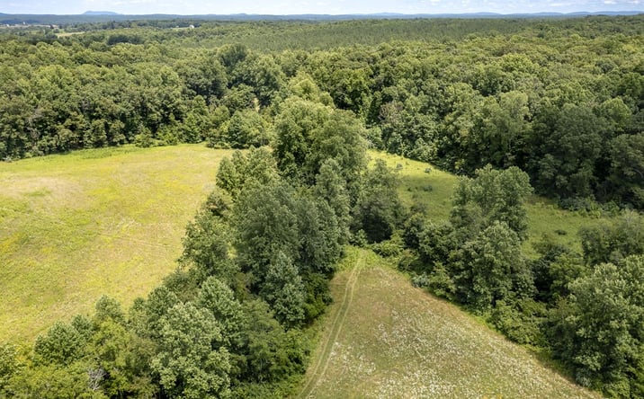 Pictures of Land property located at 11697 Spotswood Trail, Ruckersville, VA 22968 for sales - image #1