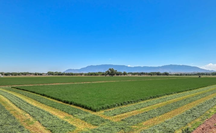 Pictures of Land property located at NHN Las Estancias Dr SW, Albuquerque, NM 87105 for sales - image #1
