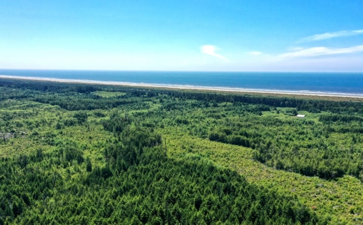 Pictures of Land property located at 2850 State Route 109, Copalis Beach, WA 98569 for sales - image #1